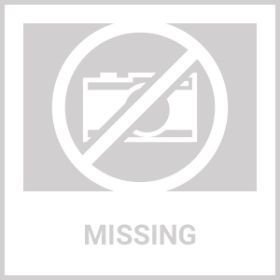 Texas Proud Stepping Stone - Don't Mess with Texas Heart Flag > Decorative Garden Flag for Texas Pride